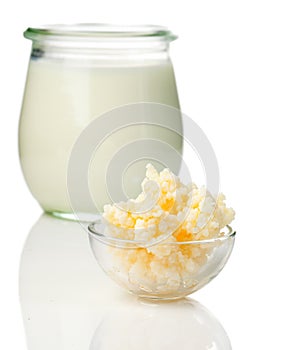 Milk kefir grains. milk kefir, or bÃºlgaros, is a fermented milk