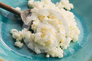 Milk kefir grains