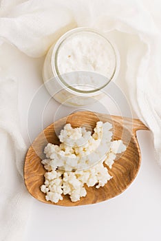 Milk kefir grains in spoon. Yeast bacterial fermentation starter