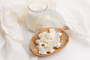 Milk kefir grains in spoon. Yeast bacterial fermentation starter