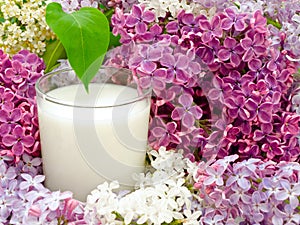 Milk and lilac