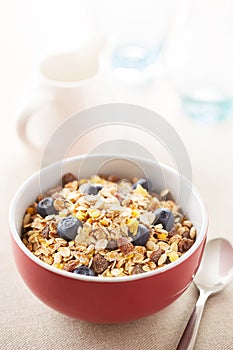 Milk and muesli bowl