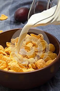 Milk is poured into a bowl with corn flakes. Side view