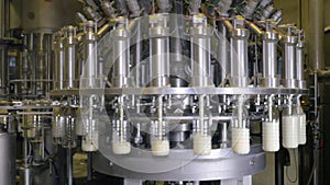 Milk pouring into bottles on a industrial equipment at a milk production factory.