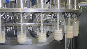 Milk pouring into bottles on a industrial equipment at a milk production factory.