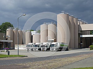 Milk powder factory