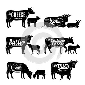 Milk product logo. Cow and calf silhouettes