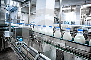 Milk production at factory