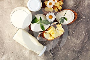 Milk products. tasty healthy dairy products on a table on. mozzarella in a bowl, cottage cheese bowl, butter swirls, glass bottle