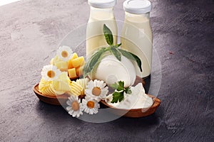 Milk products. tasty healthy dairy products on a table on. mozzarella in a bowl, cottage cheese bowl, butter swirls, glass bottle