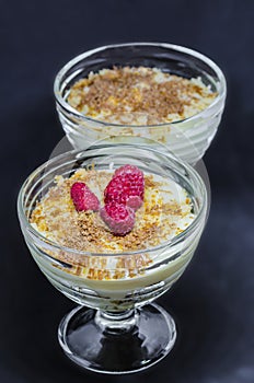 Milk pudding with vanilla ice-cream in glass dishes