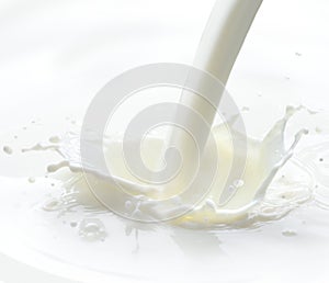 Milk Splash photo