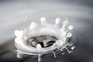 Milk splash, on black background
