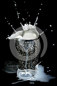 Milk splash on a black background in a cup