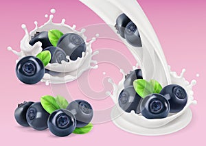 Milk splash and Blueberry. 3d vector object