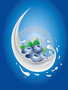 Milk splash with blueberry