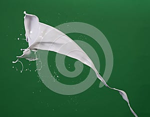 Milk splash in green matt background