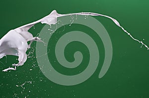 Milk splash in green matt background