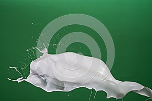 Milk splash in green matt background