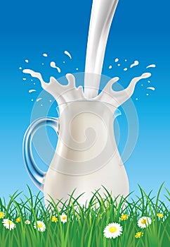 milk splash in jug on summer grass field with chamomile