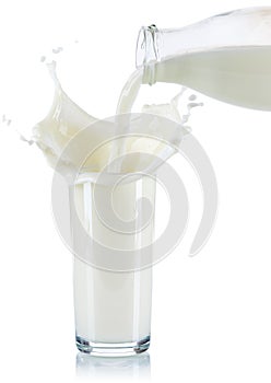 Milk splash splashing pouring pour glass bottle isolated on whit