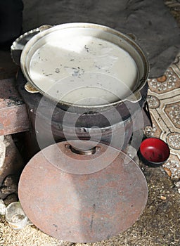 Milk tea from reindeer milk of Tsaatan community photo