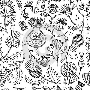 Milk Thistle flowers. Silymarin. Vector botanical illustration. Seamless pattern for your design