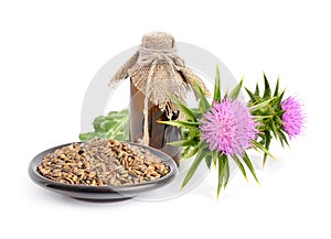 Milk thistle oil with flowers and seeds. photo