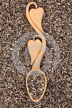 Milk Thistle Seeds