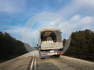 Milk trasportation lorry road sky plastic white