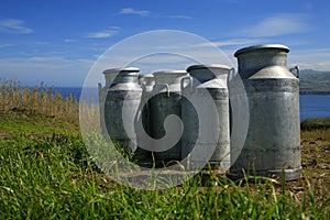 Milk urns photo