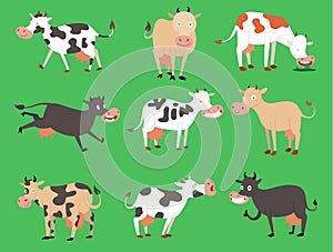 Milk vector cow bull with calf buffalo different cows colors dairy farm beef, nature domestic farm animals. Cartoon