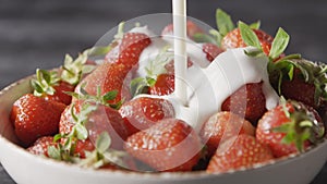 Milk yogurt with a splash pours on the sweet red strawberry fruit in a white bowl on a gray table. Close-up slow motion