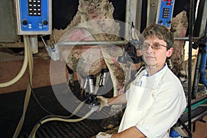 Milking Cows on Farm