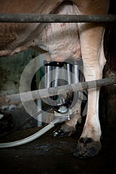 Milking Machine