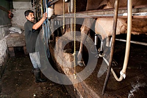 Milking Machine