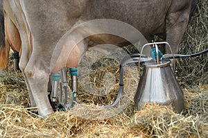 Milking machine