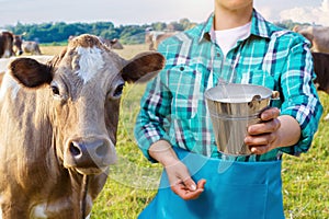 Milkmaid with the milk bucket and cow . photo