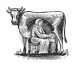 Milkmaid milking cow in vintage engraving style. Milk products industry. Cow milky farm eco business. Healthy nutrition photo