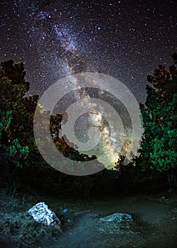 Milky Way. Beautiful summer night in Ukraine