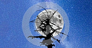 Milky Way. Dead tree silhouette Full Moon 4k timelapse. Pan