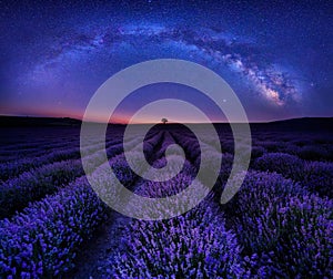 Milky Way Galaxy above a lavender field