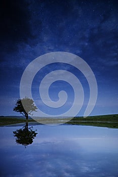 Milky Way galaxy image of night sky with natural tree silhouette