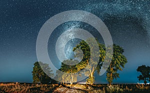 Milky Way Galaxy In Night Starry Sky Above Tree In Summer Forest. Glowing Stars Above Landscape. Panorama