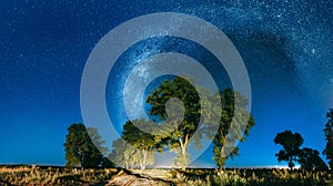 Milky Way Galaxy In Night Starry Sky Above Tree In Summer Forest. Glowing Stars Above Landscape. Panorama