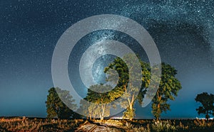 Milky Way Galaxy In Night Starry Sky Above Tree In Summer Forest. Glowing Stars Above Landscape. Panorama