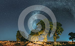 Milky Way Galaxy In Night Starry Sky Above Tree In Summer Forest. Glowing Stars Above Landscape. Panorama