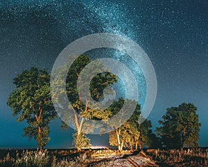 Milky Way Galaxy In Night Starry Sky Above Tree In Summer Forest. Glowing Stars Above Landscape. Panorama