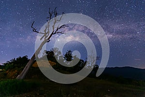 Milky way galaxy and stars on sky at night