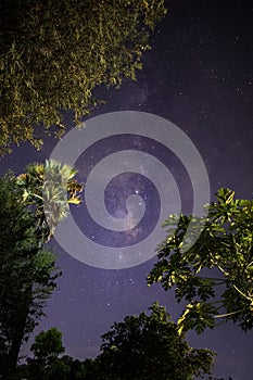 Milky way galaxy with stars and space dust in terraced rice field. (Visible noise due to high ISO, soft focus, shallow